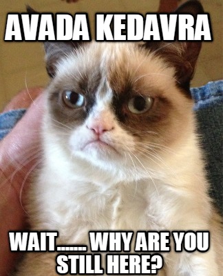 avada-kedavra-wait.......-why-are-you-still-here