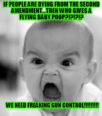 if-people-are-dying-from-the-second-amendment...then-who-gives-a-flying-baby-poo