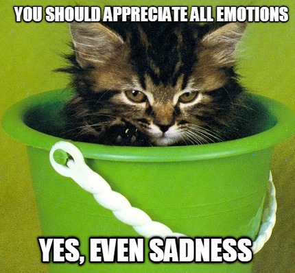 you-should-appreciate-all-emotions-yes-even-sadness