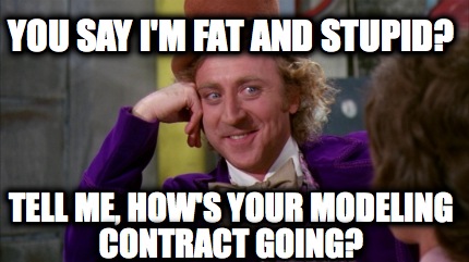 you-say-im-fat-and-stupid-tell-me-hows-your-modeling-contract-going