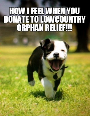 how-i-feel-when-you-donate-to-lowcountry-orphan-relief