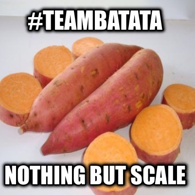 teambatata-nothing-but-scale