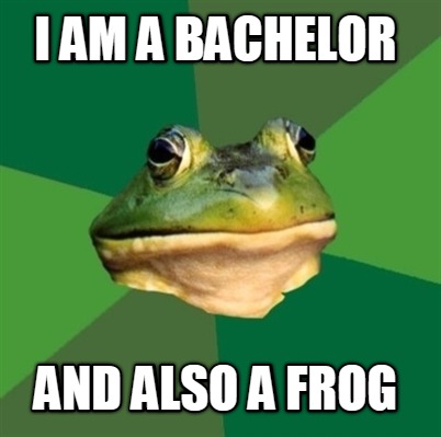 i-am-a-bachelor-and-also-a-frog