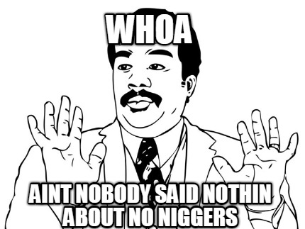whoa-aint-nobody-said-nothin-about-no-niggers