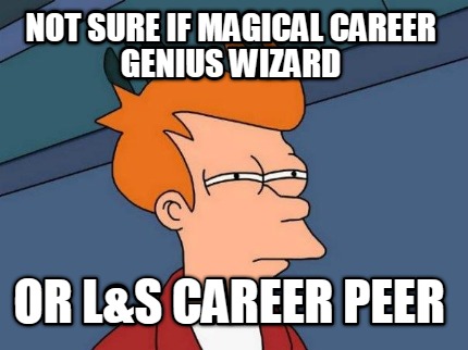 not-sure-if-magical-career-genius-wizard-or-ls-career-peer