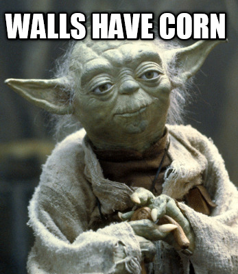 walls-have-corn