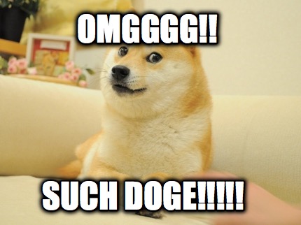 omgggg-such-doge