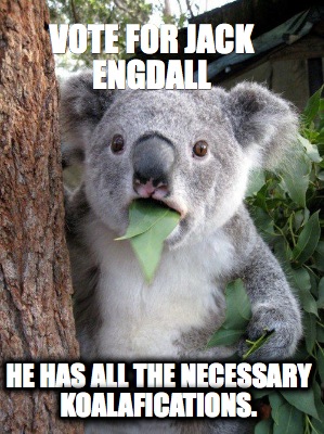 vote-for-jack-engdall-he-has-all-the-necessary-koalafications