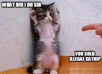 what-did-i-do-sir-you-sold-illegal-catnip