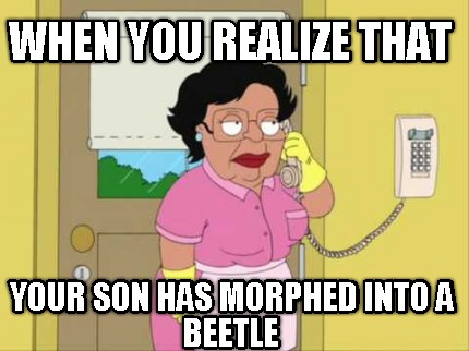 when-you-realize-that-your-son-has-morphed-into-a-beetle
