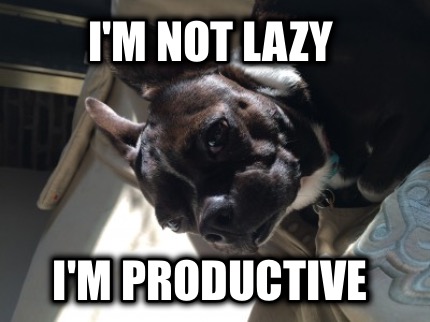 im-not-lazy-im-productive