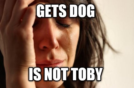 gets-dog-is-not-toby