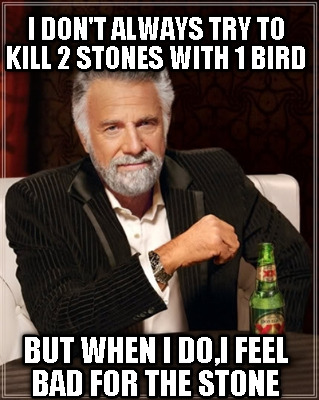i-dont-always-try-to-kill-2-stones-with-1-bird-but-when-i-doi-feel-bad-for-the-s