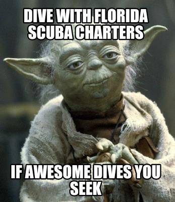 dive-with-florida-scuba-charters-if-awesome-dives-you-seek