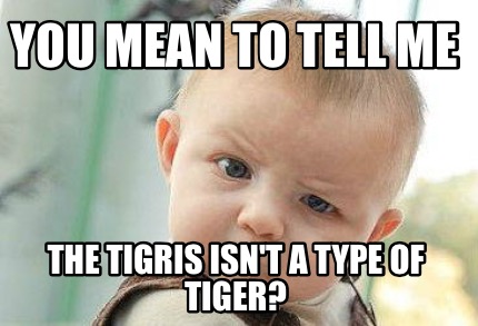 you-mean-to-tell-me-the-tigris-isnt-a-type-of-tiger
