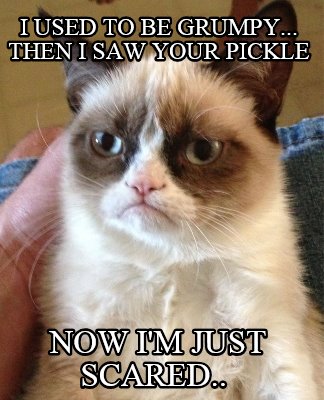 i-used-to-be-grumpy...-then-i-saw-your-pickle-now-im-just-scared