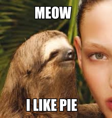 meow-i-like-pie