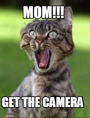 mom-get-the-camera