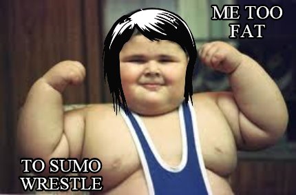 me-too-fat-to-sumo-wrestle