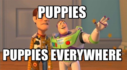 puppies-puppies-everywhere