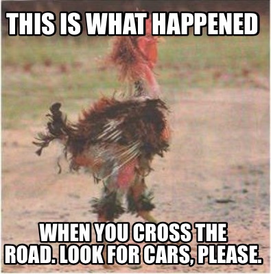 this-is-what-happened-when-you-cross-the-road.-look-for-cars-please