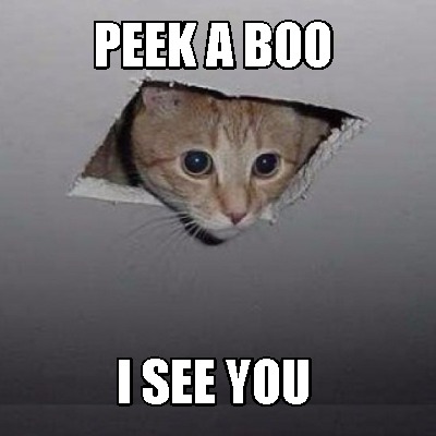 peek-a-boo-i-see-you