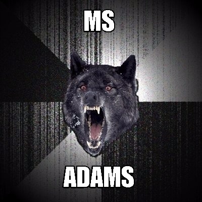 ms-adams