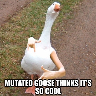 mutated-goose-thinks-its-so-cool