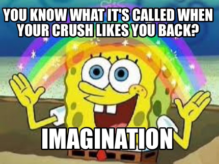 you-know-what-its-called-when-your-crush-likes-you-back-imagination