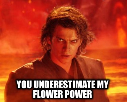 you-underestimate-my-flower-power