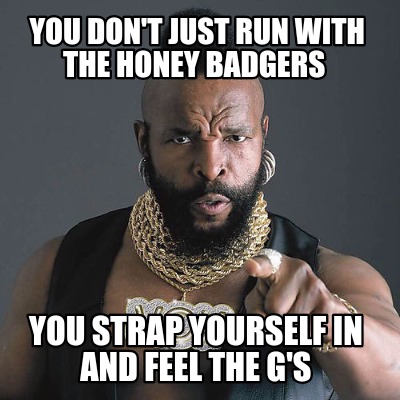 you-dont-just-run-with-the-honey-badgers-you-strap-yourself-in-and-feel-the-gs