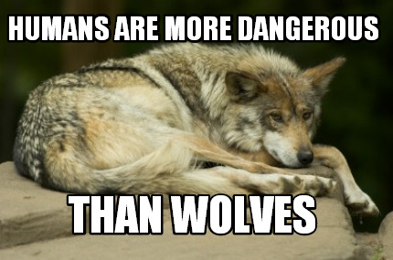 humans-are-more-dangerous-than-wolves