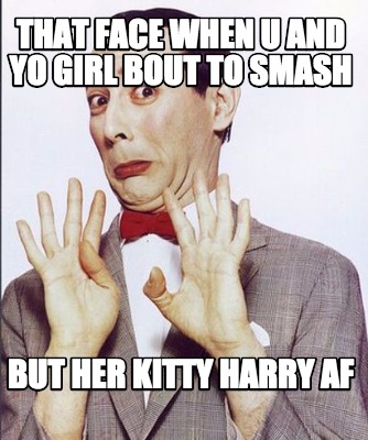 that-face-when-u-and-yo-girl-bout-to-smash-but-her-kitty-harry-af