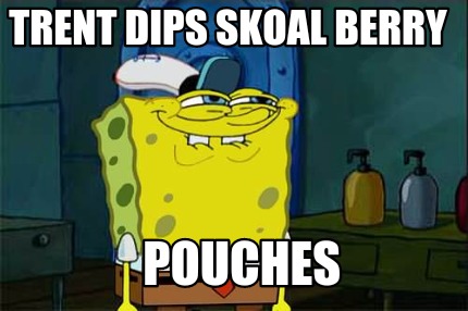 trent-dips-skoal-berry-pouches
