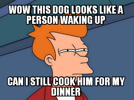 wow-this-dog-looks-like-a-person-waking-up-can-i-still-cook-him-for-my-dinner