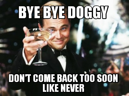 bye-bye-doggy-dont-come-back-too-soon-like-never