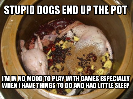 stupid-dogs-end-up-the-pot-im-in-no-mood-to-play-with-games-especially-when-i-ha