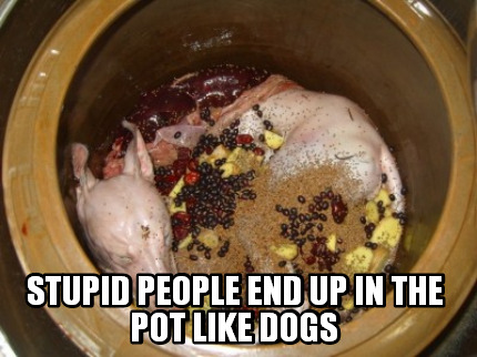 stupid-people-end-up-in-the-pot-like-dogs