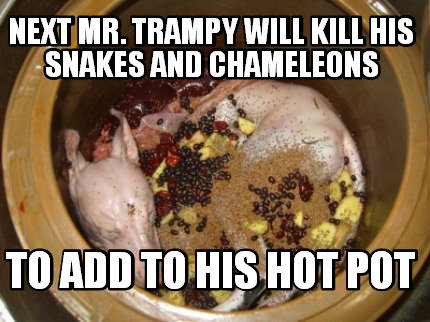 next-mr.-trampy-will-kill-his-snakes-and-chameleons-to-add-to-his-hot-pot