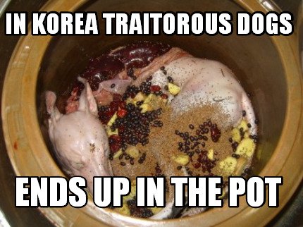 in-korea-traitorous-dogs-ends-up-in-the-pot