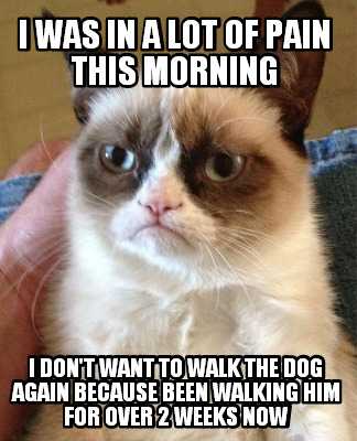 i-was-in-a-lot-of-pain-this-morning-i-dont-want-to-walk-the-dog-again-because-be