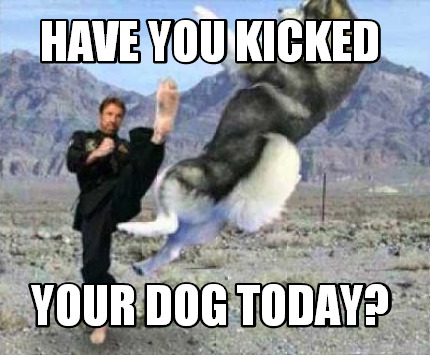 have-you-kicked-your-dog-today9