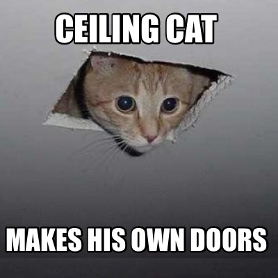 ceiling-cat-makes-his-own-doors