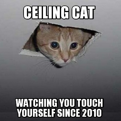 ceiling-cat-watching-you-touch-yourself-since-2010