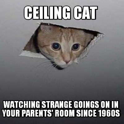 ceiling-cat-watching-strange-goings-on-in-your-parents-room-since-1960s