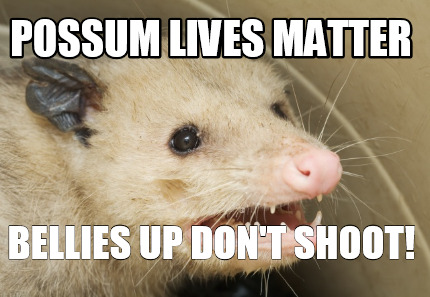 possum-lives-matter-bellies-up-dont-shoot