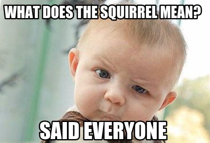 what-does-the-squirrel-mean-said-everyone