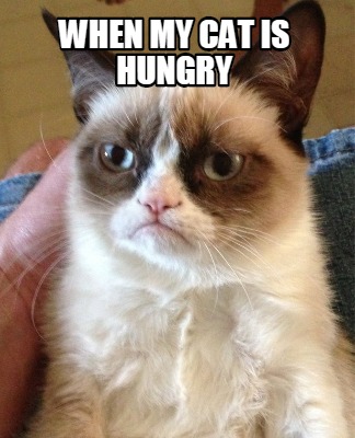 when-my-cat-is-hungry