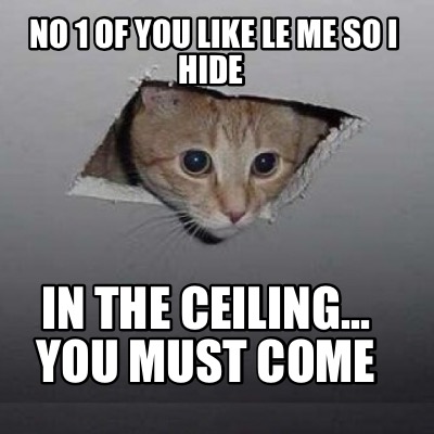 no-1-of-you-like-le-me-so-i-hide-in-the-ceiling...-you-must-come