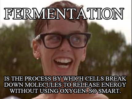 fermentation-is-the-process-by-which-cells-break-down-molecules-to-release-energ